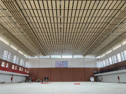 Noise Reduction Suspended Sound Absorber