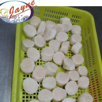 Dried Scallops Japanese Sea Frozen Scallops Meat For Sale High Quality And Good Price