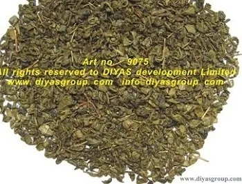 Chinese Green Tea 9075,9075A,9175,9275, 9375, 9475, 9575, 9675,9374, 9175, 9275, 9373,9503,9504,9380