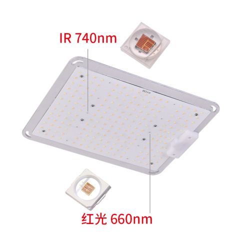 Long Lifetime Cheap Grow Light 100W