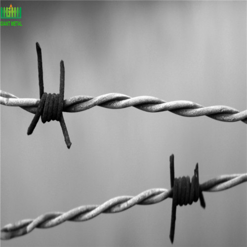 PVC Coated Barbed Wire Stainless Steel Barbed Wire