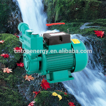 1ZDB 1WZB Seris IZDB-35 0.5HP 1" electric texmo Copper wire brass impeller Self priming centrifugal water pump