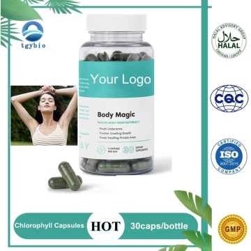 Soutien Détox et supplément immunitaire Capsules de chlorophylle Capsules désodorisantes