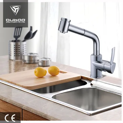 Kitchen Sink Mixer Faucet with Pull-Out Shower