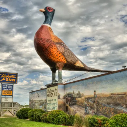 Custom Garden Decoration Sculpture Resin Pheasant Statue Animal
