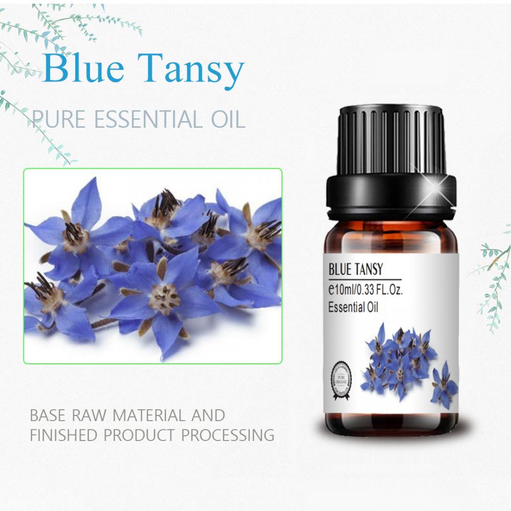 Label Pribadi Kelas Kosmetik Grosir Biru Minyak Tansy Biru