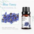 wholesale bulk cosmetic grade private label blue tansy oil