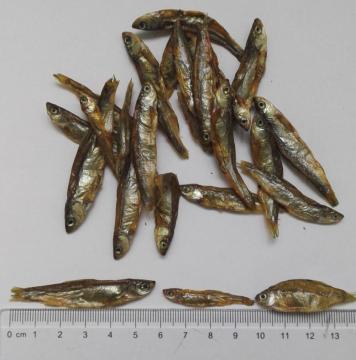 Dry cat food fish fresh material