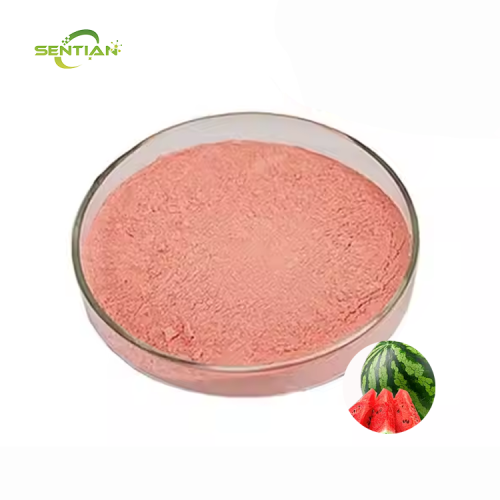 High-quality food-grade watermelon powder