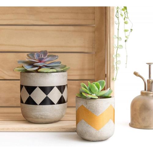  etc Small Plants Home Decor Gift Manufactory