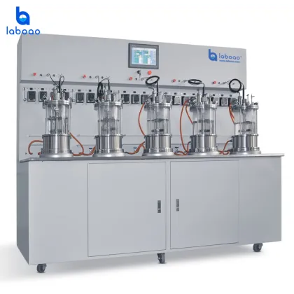 Laboao Customized Scientific Research Bioreactor & Biological Fermentor