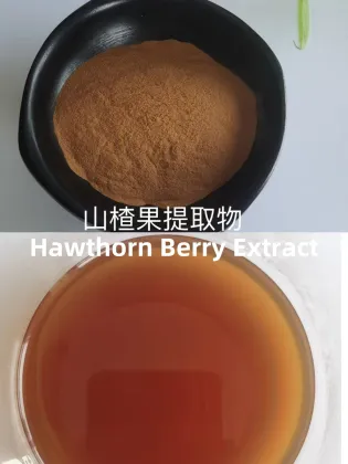 Hawthorn Extract Powder Hawthorn Flavonoids