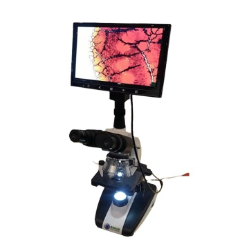 Digital Microscope C108-THD9 with LCD Screen: Enhanced Visualization and Detail Exploration