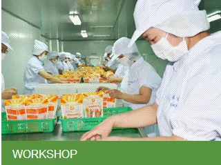 chicken breast pet food dog snacks