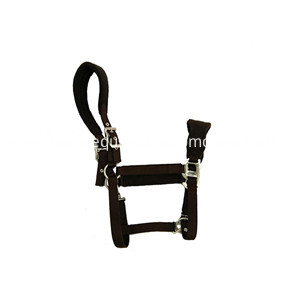 brown horse halter