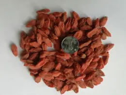 Sale for Red Wolfberry 350 Specific