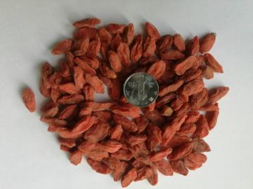 Sale for Red Wolfberry 350 Specific
