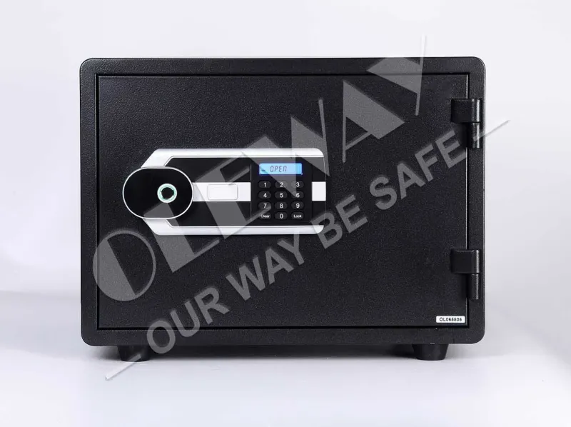 One-Hour Fireproof Fingerprint Safe for Home and Business
