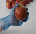 jednorazowe niebieskie rękawiczki winylowe/rękawiczki winylowe do użytku w fabryce żywności;