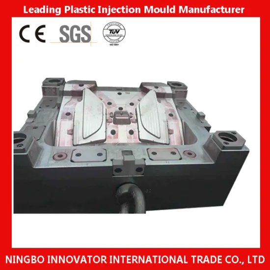 Competitive Price Plastic Injection Mould Maker From China Ningbo (MLIE-PIM133)