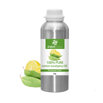 Tanaman Organik Alami Tanam Lembam Lemon Lemon Eucalyptus Minyak Esensial 100% Minyak Eucalyptus Lemon Murni