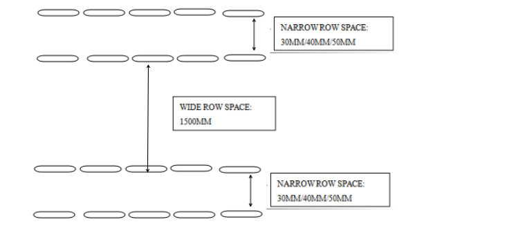 double row planter (planting one time as following)