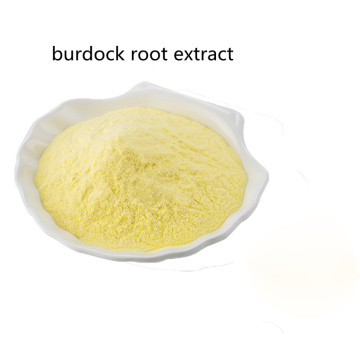 Buy oral solution burdock root extract powder