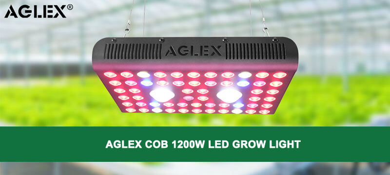 COB 1200W  led grow light