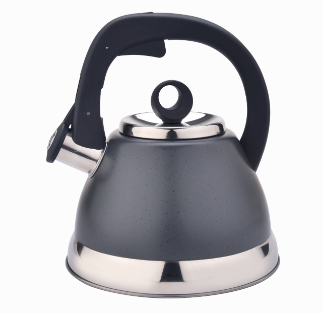 New launch Stainess steel coffee stovetop whistling kettle