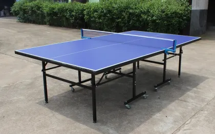 DHS Table Tennis Table
