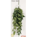 32 "Ivy inglesa Hanging Bush