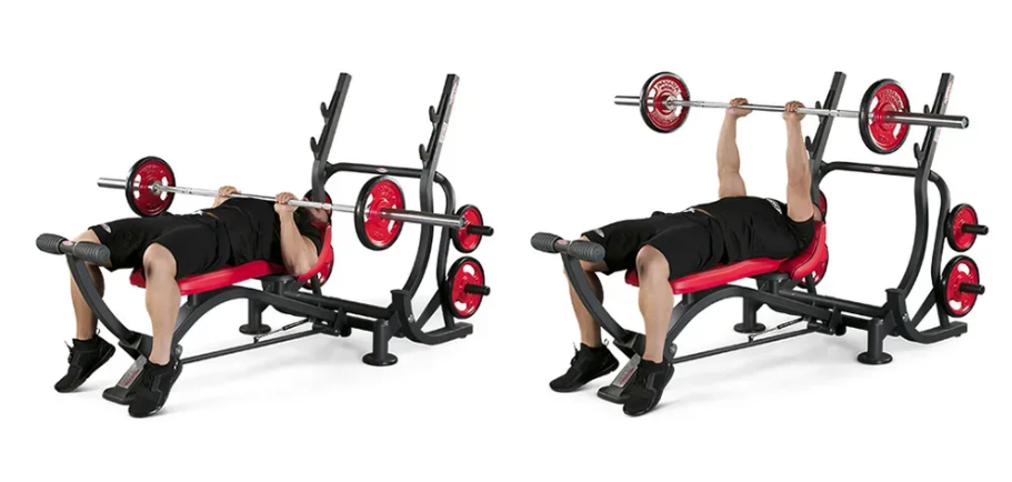 Triceps Bench Plate Loaded