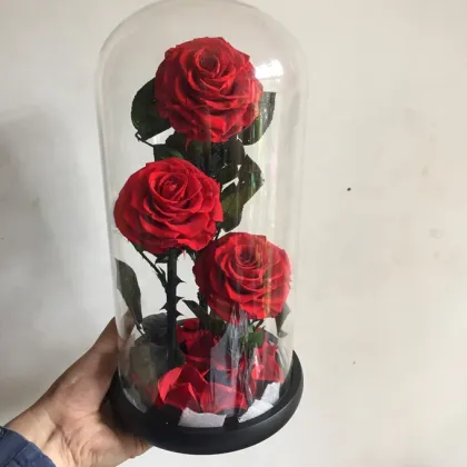 Little Prince Rose in Glass Dome with Black Gift Boxes for Valentine's Day