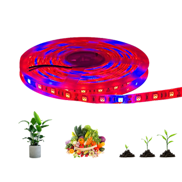12V SMD5050 LED Strip Grow Light - Full Spectrum Waterproof IP65 Red LED for Indoor Plants