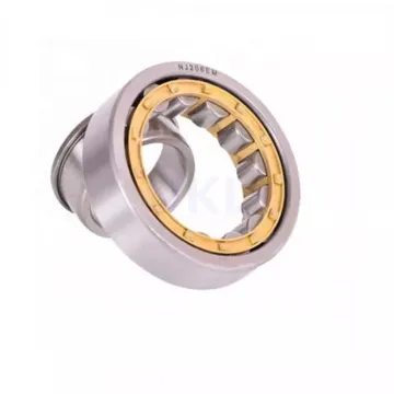 UKL Brand Factory Price  Cylindrical Roller Bearing NJ NU NUP 1017 ML Size 85x130x22mm