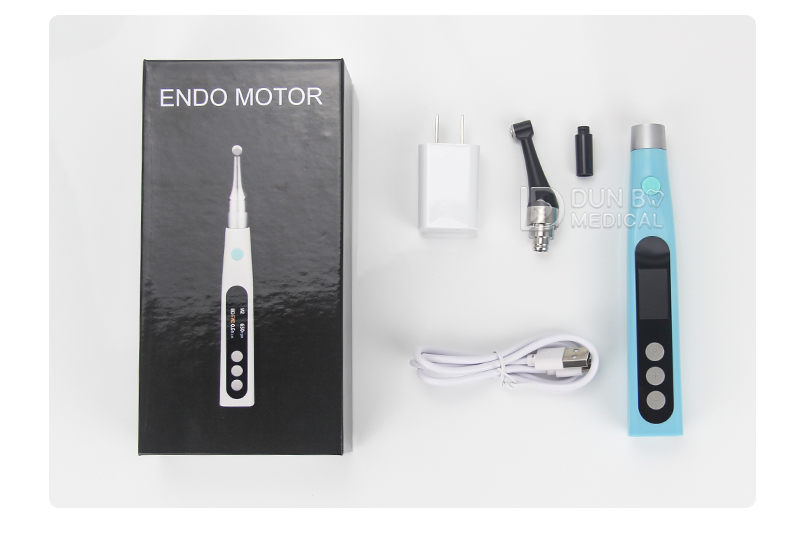 Endo Motor-02(16)