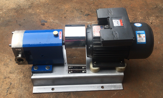 rotary lobe pumps