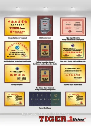 6.5HP TIGER brand Engine TE200