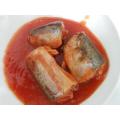 Tailles des clients et emballage de la sardine en conserve dans le piment chaud