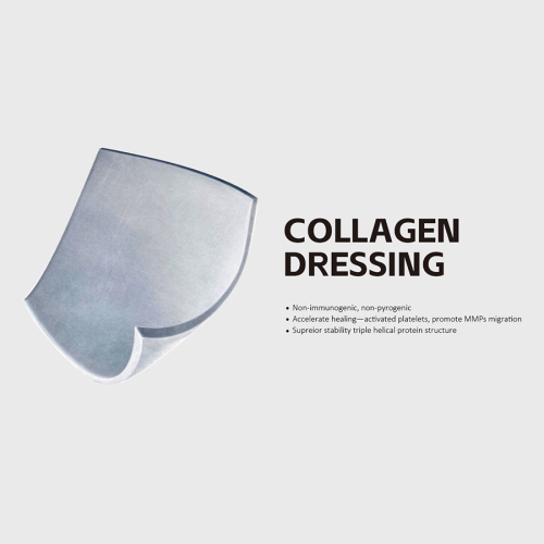 Vestito di collagene