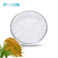Natural Gamma Oryzanol Powder