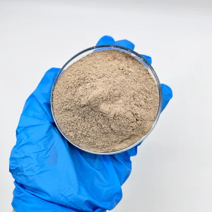 Bio Bacteria Formula in Water Treatment Applications