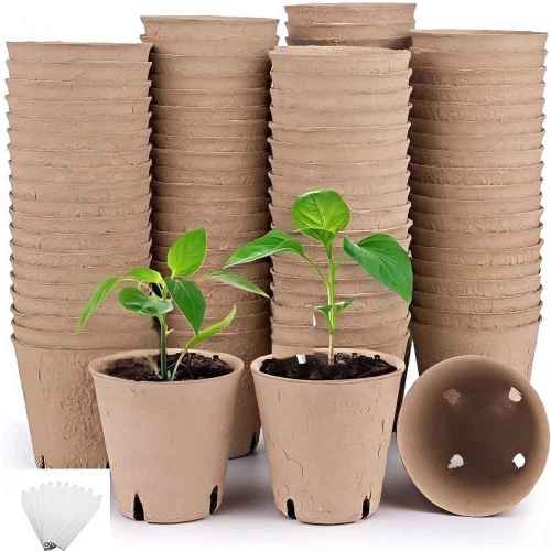 Biodegradable Eco-Friendly Molded Pulp Promedling Pot