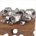 Stainless Steel Acorn Hex Cap Nuts Locknuts