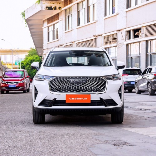 Xe xăng 5 chỗ Haval H6