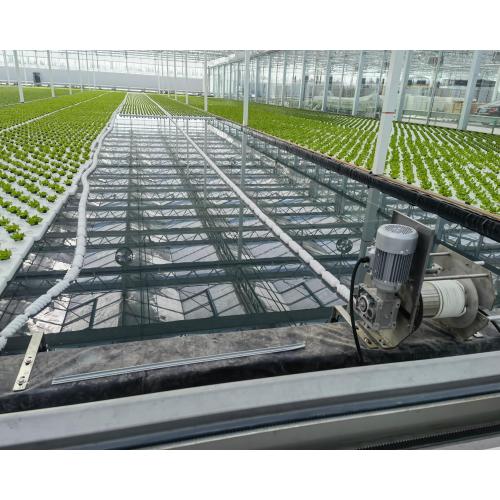 Multi-Crop Seedling Greenhouse