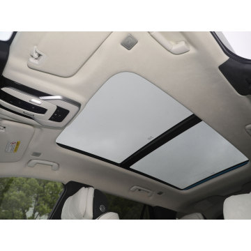 Top New Energy Vehicles Hongqi E-HS9