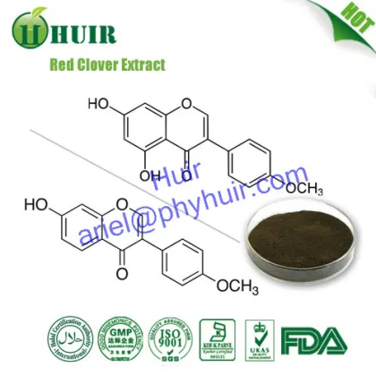 Natural estrogen Red clover P.E. /Red Clover Extract Powder /Red Clover P.E.