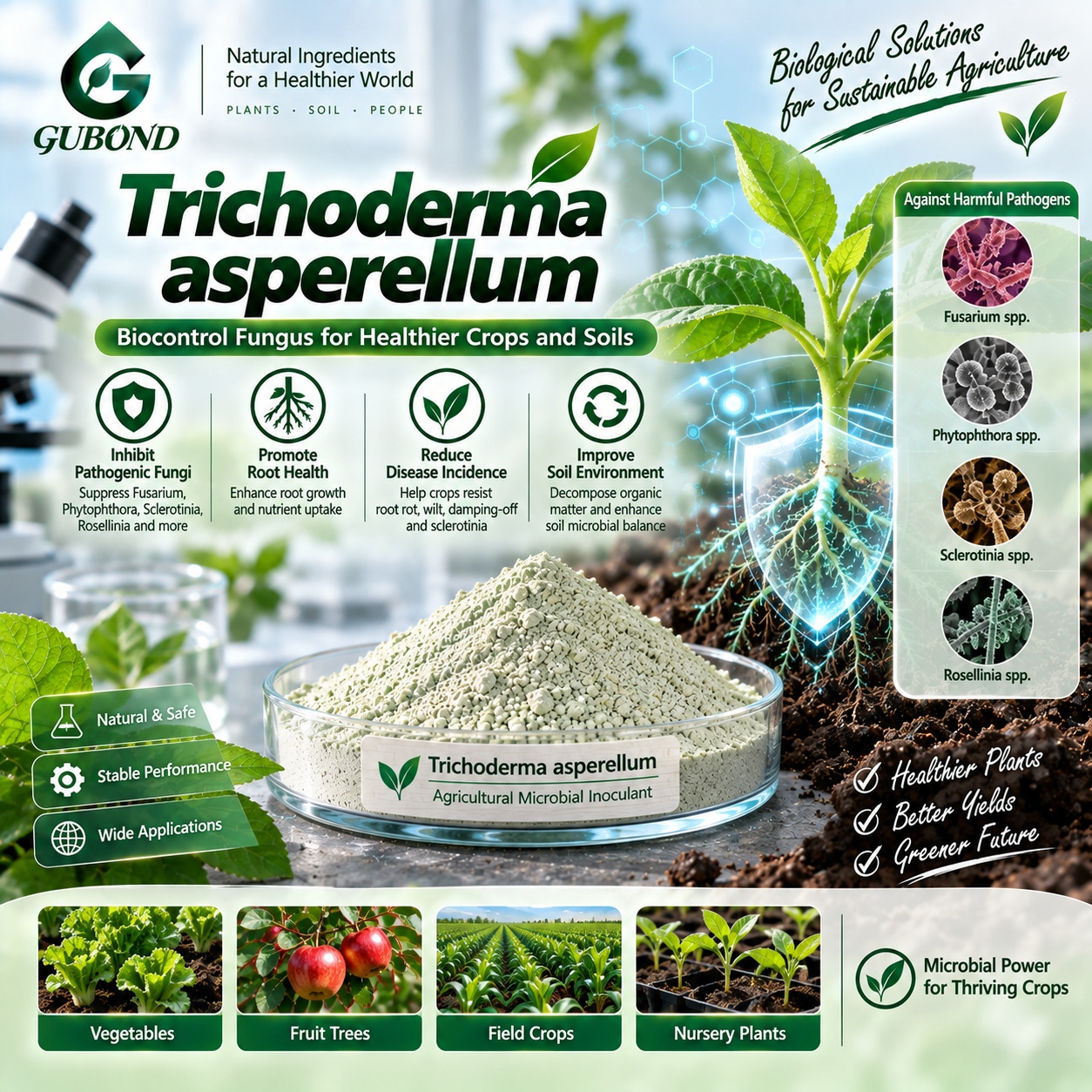 Trichoderma asperellum (4)
