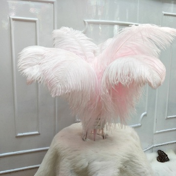 YAYUN CH2069 Hot Selling Custom DIY Ostrich Feather Home Decor